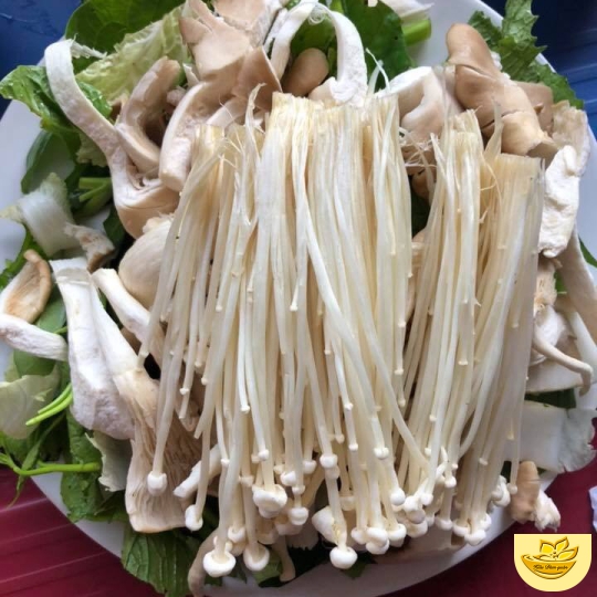LẨU NẤM CHAY KIỀU ĐÀM