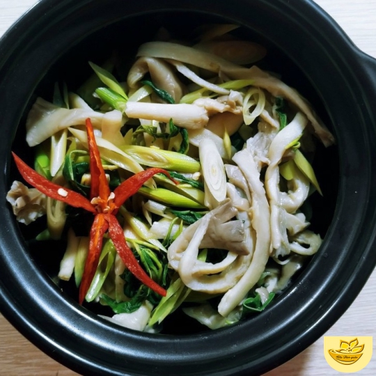 NẤM 01