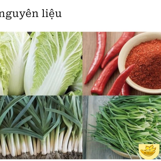 KIM CHI 0-3
